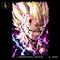 Majin Vegeta Final Explosion Estampa