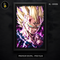 Majin Vegeta Final Explosion Estampa