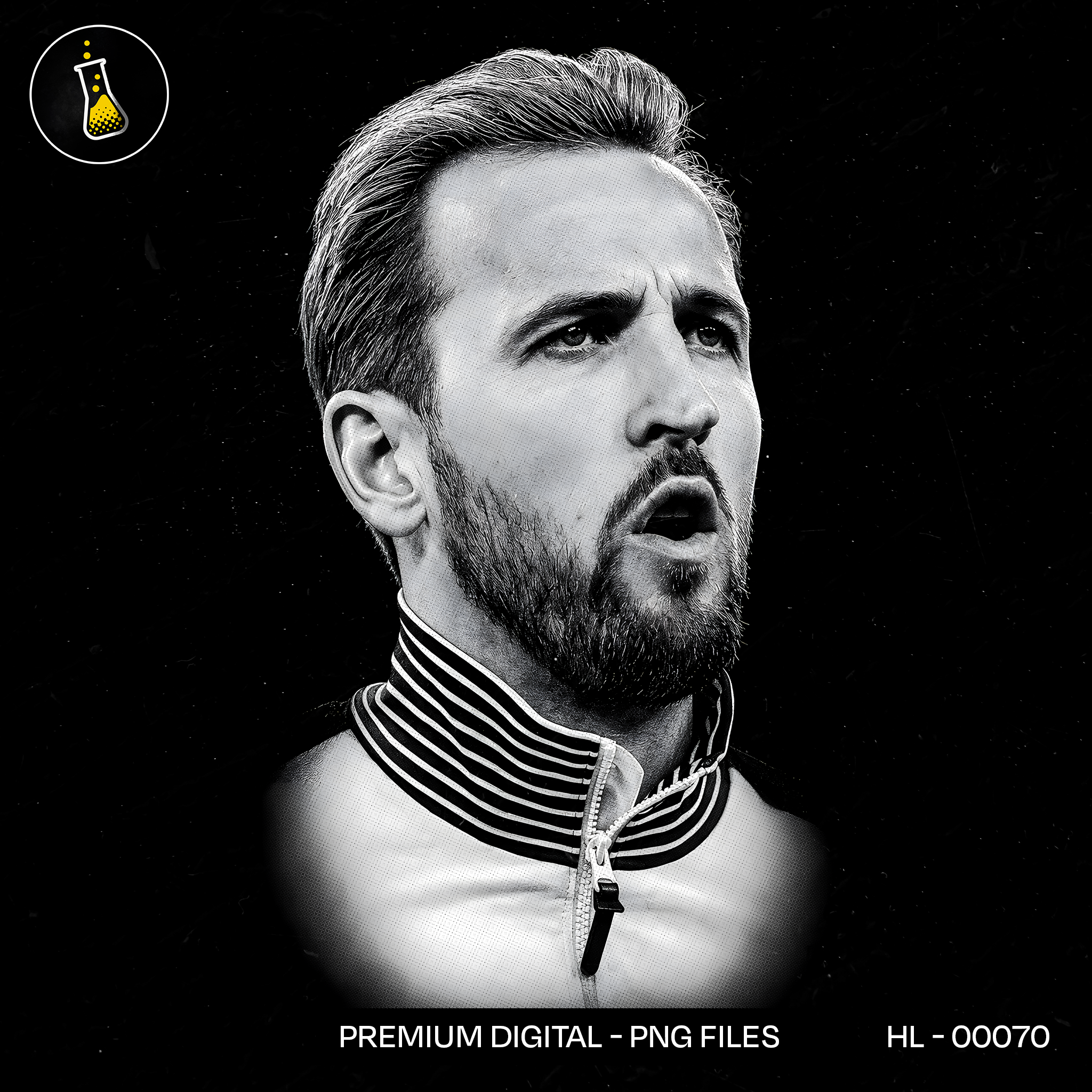 Harry Kane England Estampa