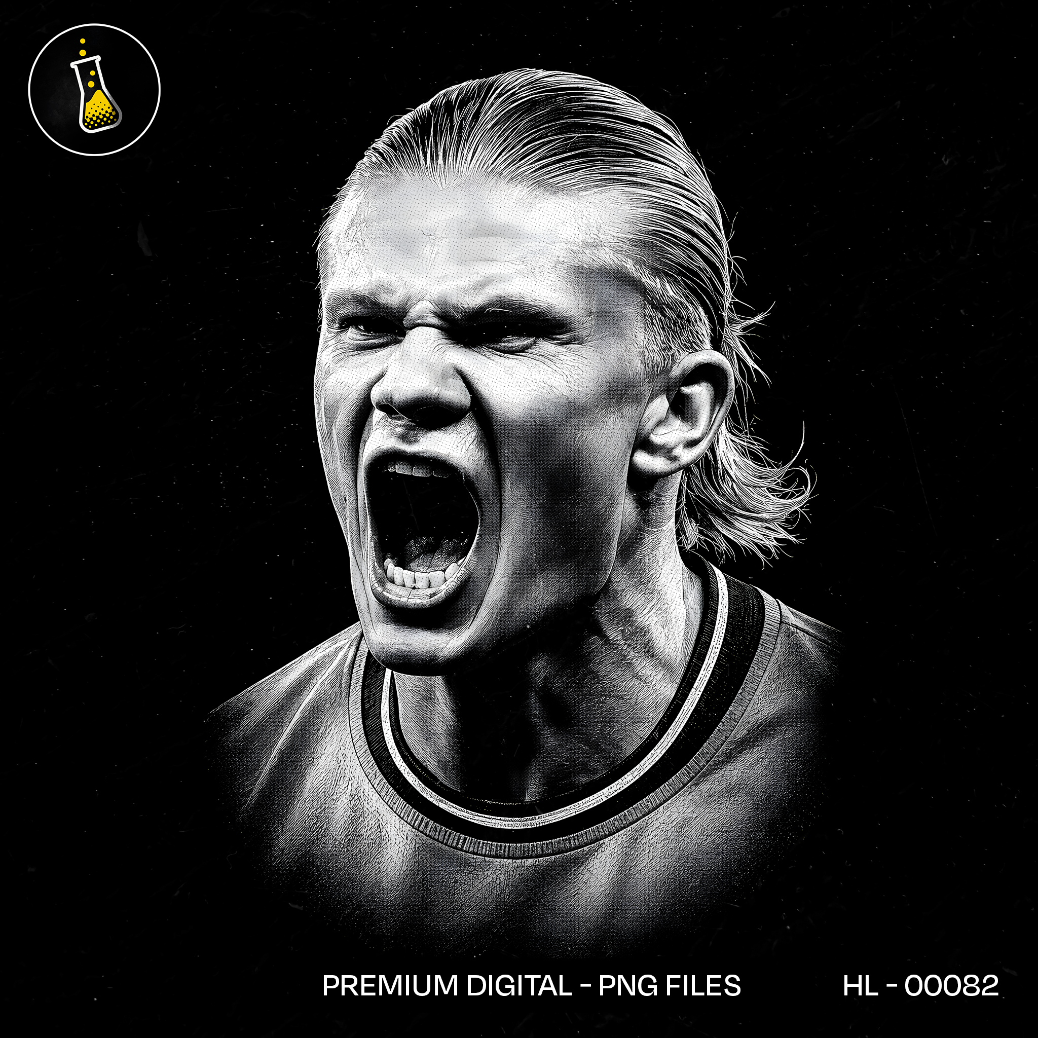 Erling Haaland Norway Estampa