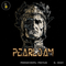 Pearl Jam Grunge Rock Estampa