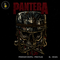 Pantera Skull Groove Metal Estampa
