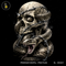 Skull Rattlesnake Barbed Wire Streetwear Estampa