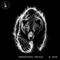 Fierce Grizzly Bear Streetwear Estampa