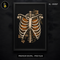 Skeleton Ribcage Pumpkins Anatomy Halloween Estampa
