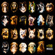 Pacote Dogs