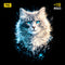 Pacote Cats