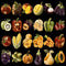 Pacote Frutas e Vegetais Patchwork